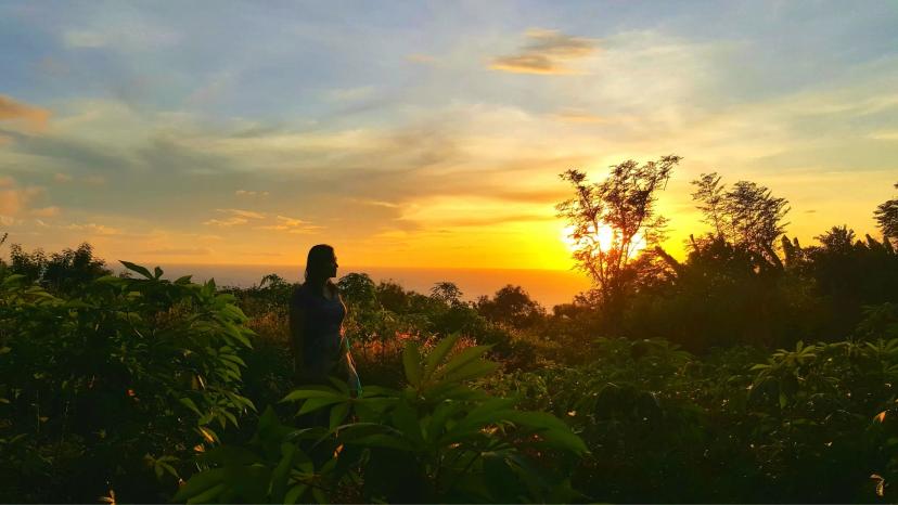BoomBastic Chapters Seychelles - TOURS